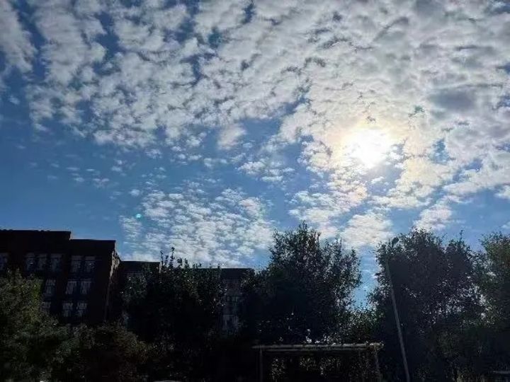 1635214635448907.jpg