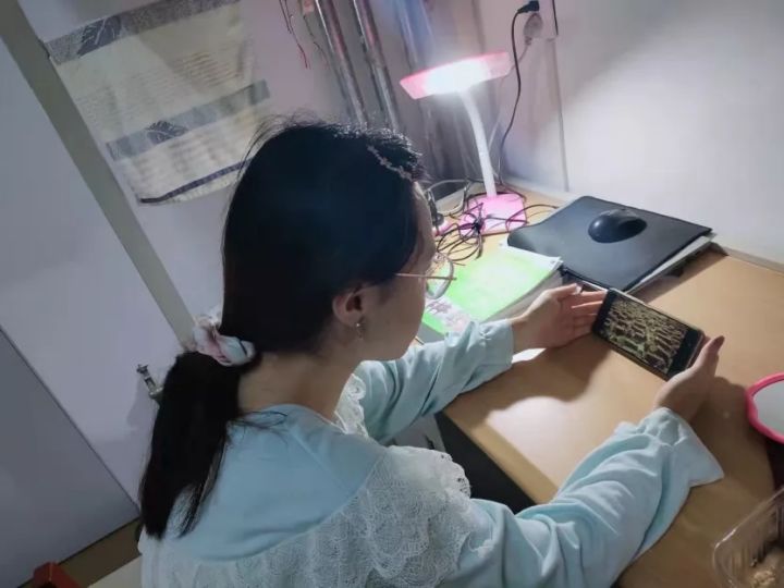 1633311201465474.jpg